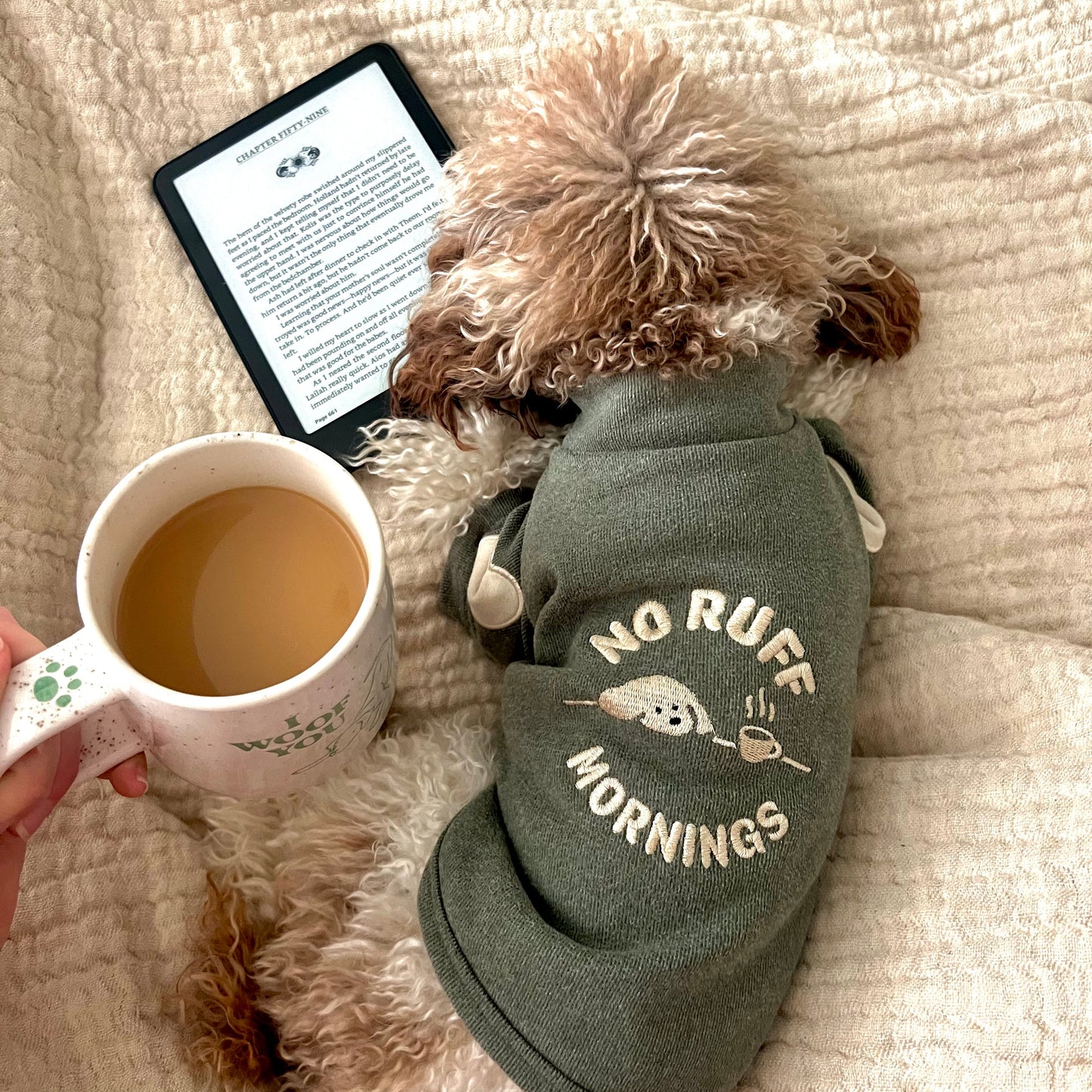 No Ruff Mornings Tee